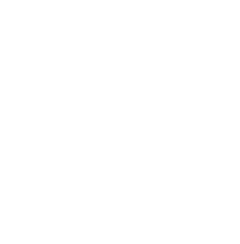 Fully tracked and fast shipping